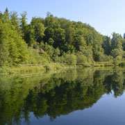 Les bords du lac d'Habère-Lullin