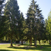 Le Parc d'Habère Lullin