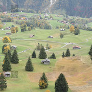 Orienteering Worldcup Final Grindelwald 2017
