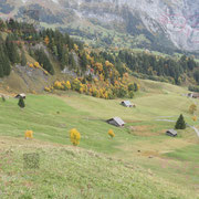 Orienteering Worldcup Final Grindelwald 2017