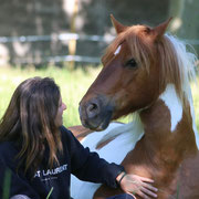 Nikon, un poney fier et émotif