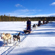 Urlaub in Lappland