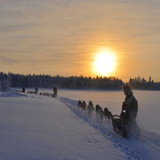 Tolle Sonnenuntergänge in Lappland