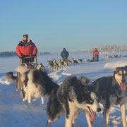 Winterurlaub miit Huskys