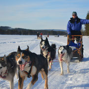 Unterwegs auf Huskytour durch Lappland...