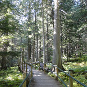 Hemlock Grave Trail