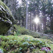 Rock Garden Trail