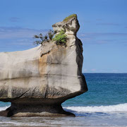 Te Hoho Rock (Coromandel Halbinsel - Nordinsel)