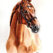 Maggie, Aquarell (Auftragsarbeit)