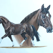 Diamond Dream, Pastellkreiden (Auftragsarbeit)
