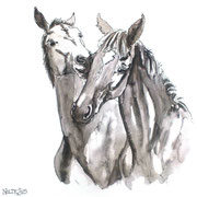 Hengstanwärter, Fineliner und Aquarell (unverkäuflich)