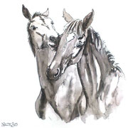 Hengstanwärter, Fineliner und Aquarell (unverkäuflich)