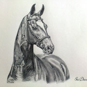 Sir Donnerhall, Bleistift  (ZU VERKAUFEN/ FOR SALE)