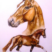 Floriscount, Aquarell (ZU VERKAUFEN/ FOR SALE)