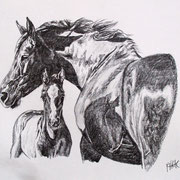 Stute mit Fohlen, Bleistift (verkauft/sold)