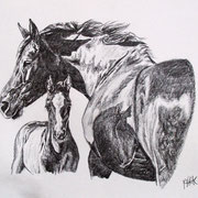 Stute mit Fohlen, Bleistift (verkauft/sold)