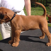 Leeloo