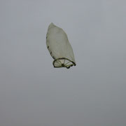 Der auf ca. 15-20 m Höhe aufsteigende Ballon. Mehr auf http://kopernikusschule.jimdo.com/startseite/dr-bauer/wpu-nawi/