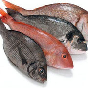 Pescados