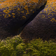 Couleurs des marées, Bretagne.