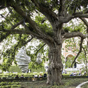 Baum mit Kunstwerken von Louise Bourgeois, Amsterdam.