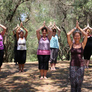 ... die "Schwimmenden Drachen" im silbrig schimmernden Olivenhain ...