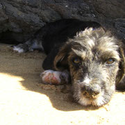 Nach dem Strandspaziergang