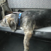 Eddy's Chill-out Zone