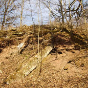 Überreste der Grundmauern des Stw1 (Bild Rico Schubert)