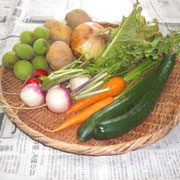6月11日のプチフェルメの野菜たち