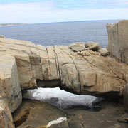 the natural bridge