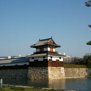 広島城周辺を走りました。公園になっていて立派なお城、護国神社がありました。