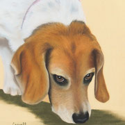 "Cassie"     Commission