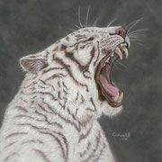 "Ready for a Nap"     Soft Pastel    