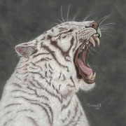 "Ready for a Nap"     Soft Pastel    