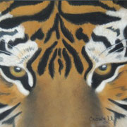 "Tiger Eyes"     Soft Pastel    Sold