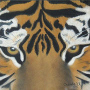 "Tiger Eyes"     Soft Pastel    Sold
