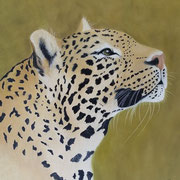"I See You"     Soft Pastel    