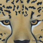 "Cheetah Eyes"     Soft Pastel   Sold