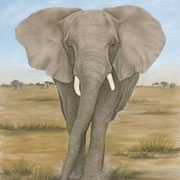 "The Boss"     Soft Pastel    