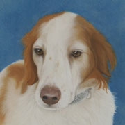 "Chasey"     Commission