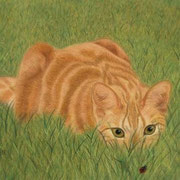"Hunter in Training"     Sold
