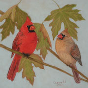 Cardinal Pair   -   Soft Pastel   -  Available