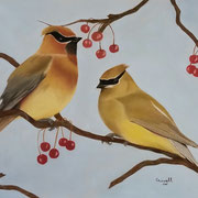 Cedar Waxwings   -   Soft Pastel   -   Available