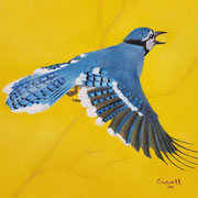 "Blue Jay I"  -   Soft Pastel  -   Sold  -   Prints Available