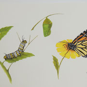 Waiting for Wings - Watercolor - Sold
