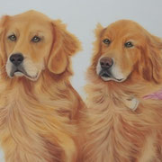 "Golden Girls"    Commission 