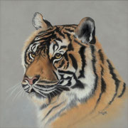 "Watchful"     Soft Pastel    