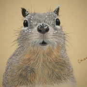 "Out of Nuts...Hurry Spring"    Sold - Prints Available