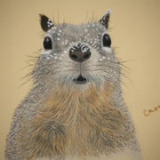 "Out of Nuts...Hurry Spring"    Sold - Prints Available